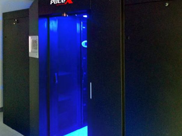 WhatsApp Image 2025-01-02 at 4.38.25 PM